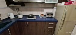 Dover Parkview (D5), Condominium #592993271
